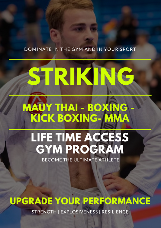 Striking Gym Program